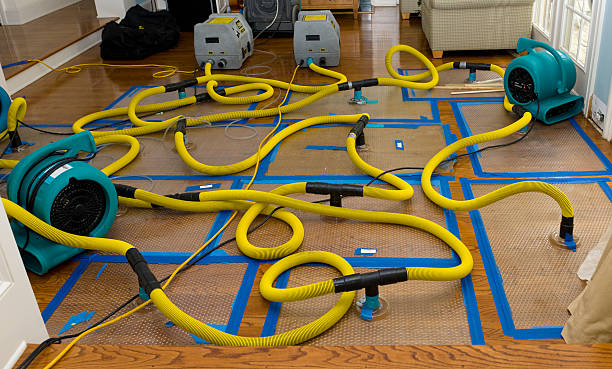 Professional Crawl Space Water Removal technician working in Baldwin, WI